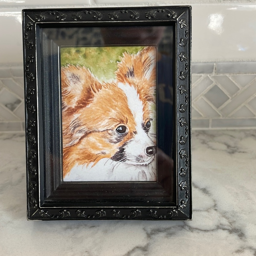 Cute little sable papillon print